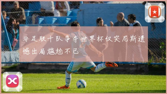 非足联十队争夺世界杯仅突尼斯遗憾出局尴尬不已