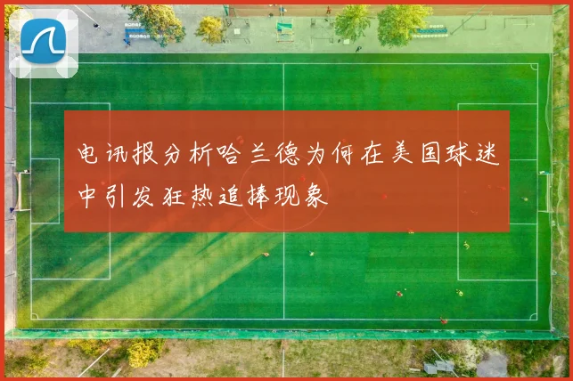 电讯报分析哈兰德为何在美国球迷中引发狂热追捧现象